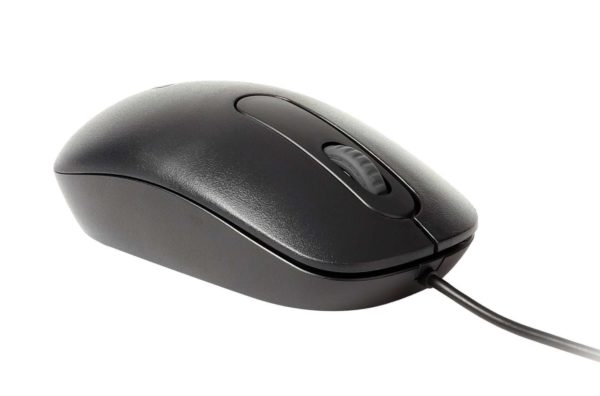 Souris Rapoo N200